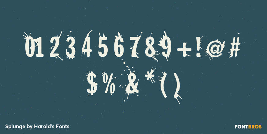 Splunge Font Poster #4