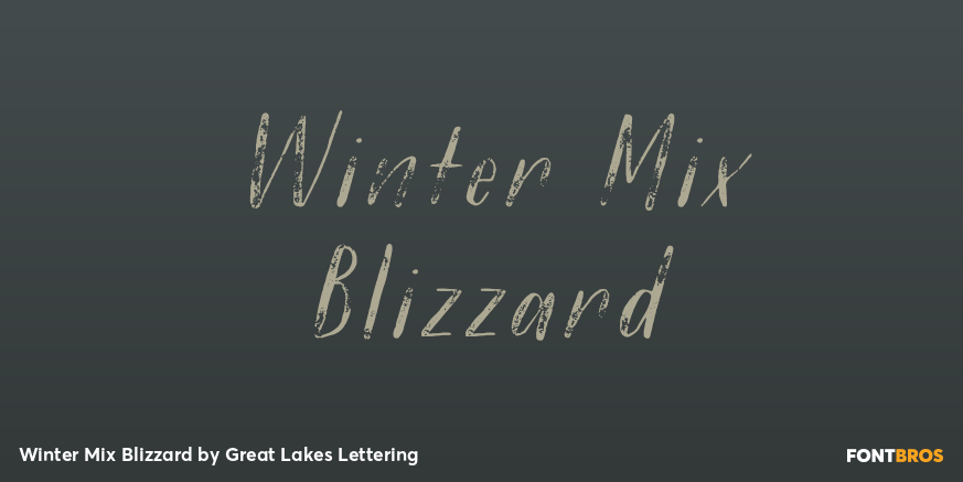 Winter Mix Blizzard Poster