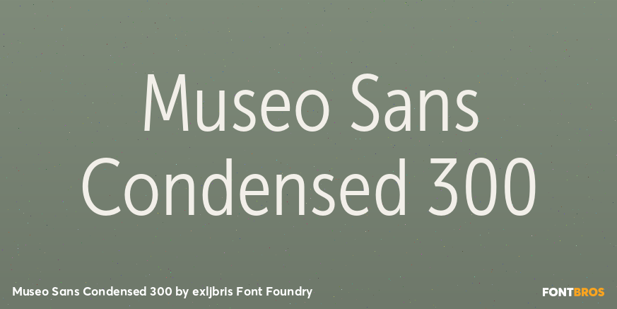 Museo Sans Condensed 300 Font Poster #1