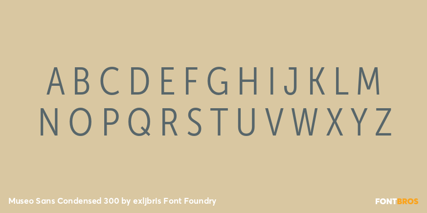 Museo Sans Condensed 300 Font Poster #2