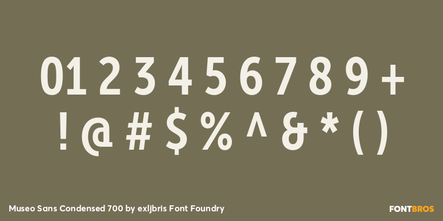 Museo Sans Condensed 700 Font Poster #4