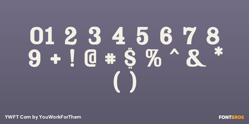 YWFT Cam Font Poster #1