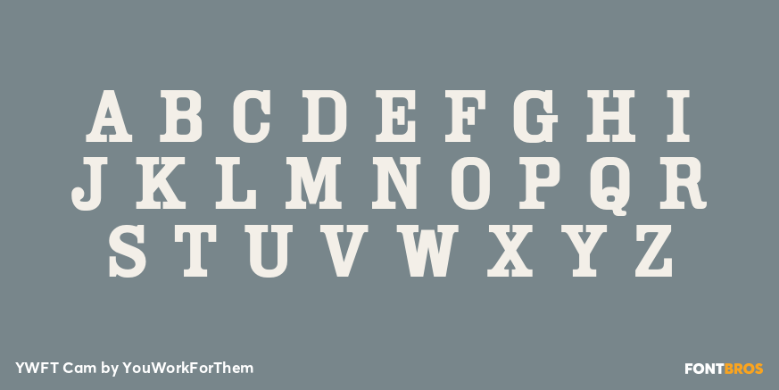 YWFT Cam Font Poster #1