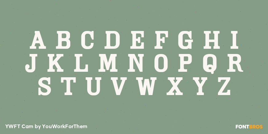 YWFT Cam Font Poster #1