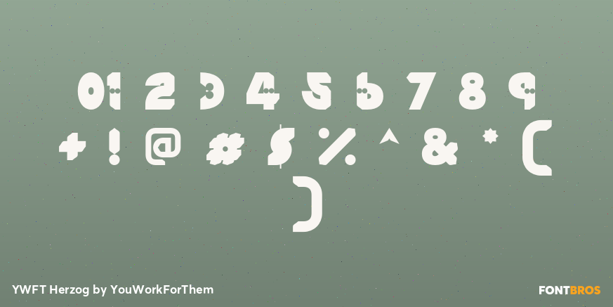 YWFT Herzog Font Poster #4