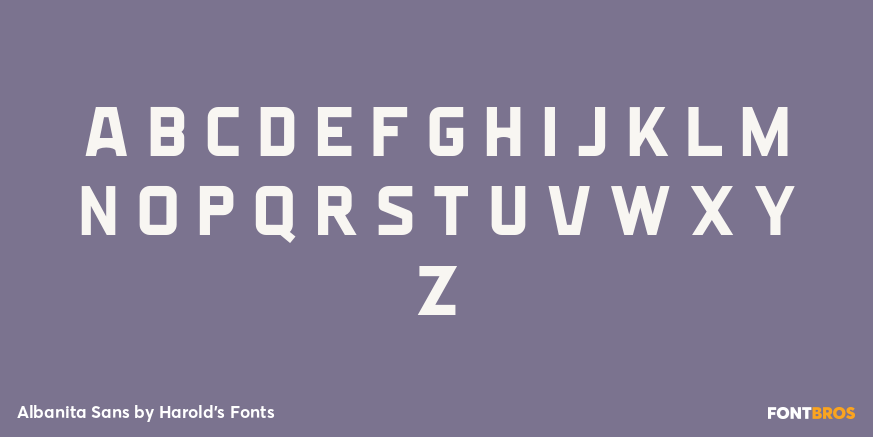 Albanita Sans Font Poster #2