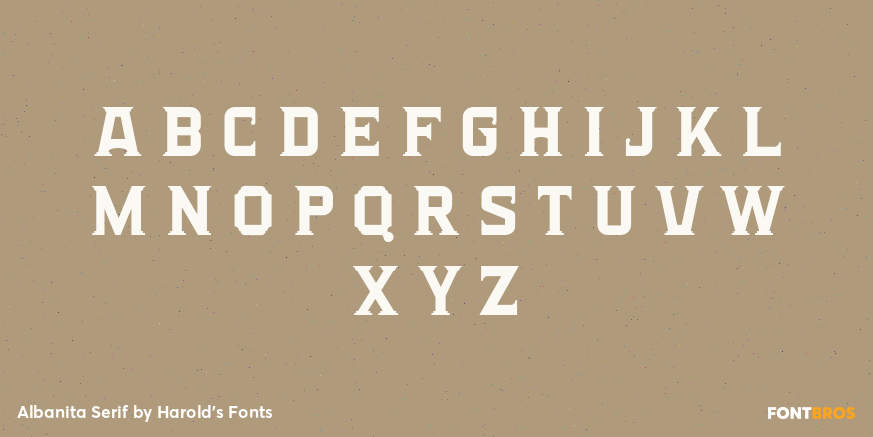 Albanita Serif Font Poster #2