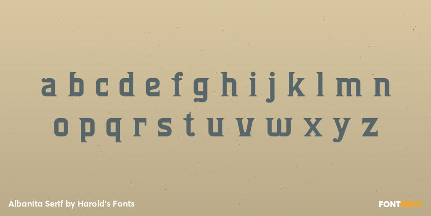 Albanita Serif Font Poster #3