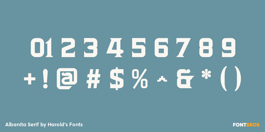 Albanita Serif Font Poster #4