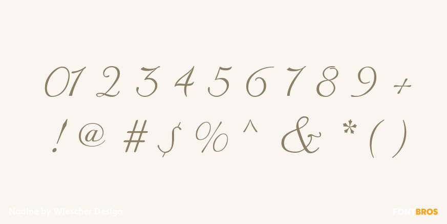 Nadine Font Poster #4