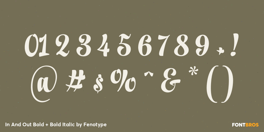 In And Out Bold + Bold Italic Font Poster #4
