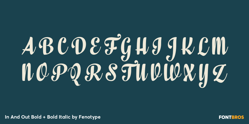 In And Out Bold + Bold Italic Font Poster #1