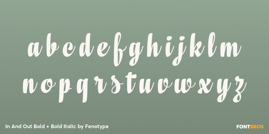 In And Out Bold + Bold Italic Font Poster #1