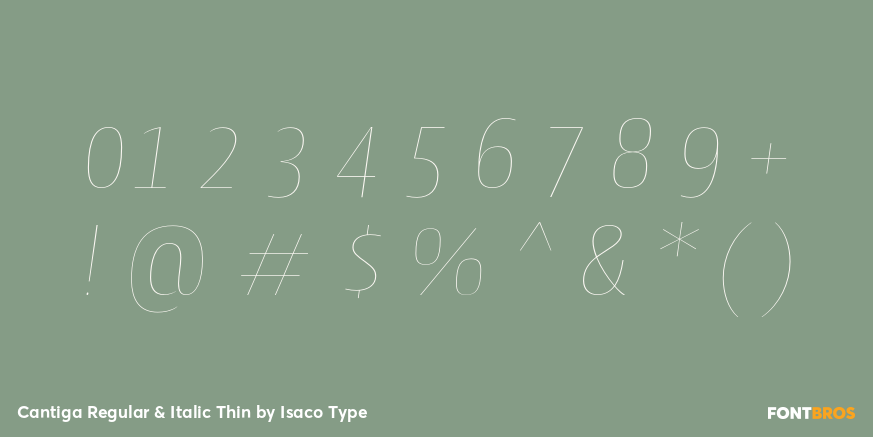 Cantiga Regular & Italic Thin Font Poster #1