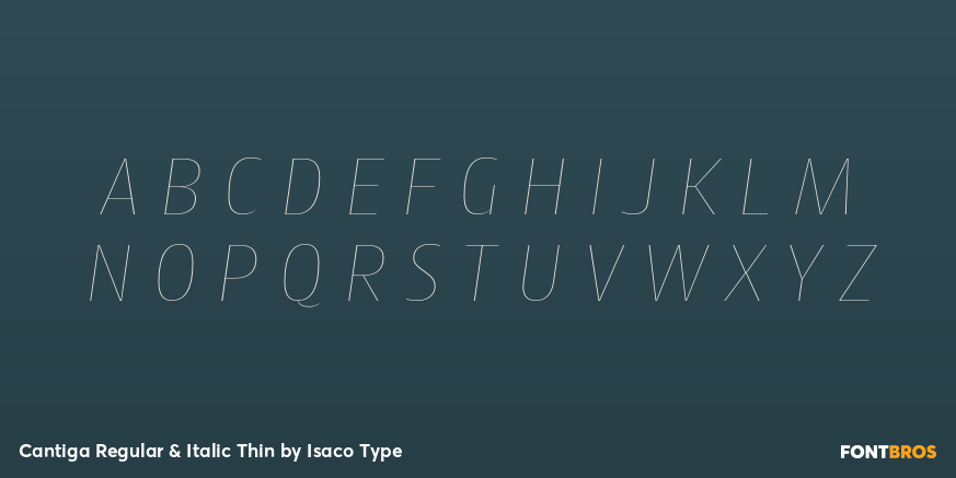 Cantiga Regular & Italic Thin Font Poster #2