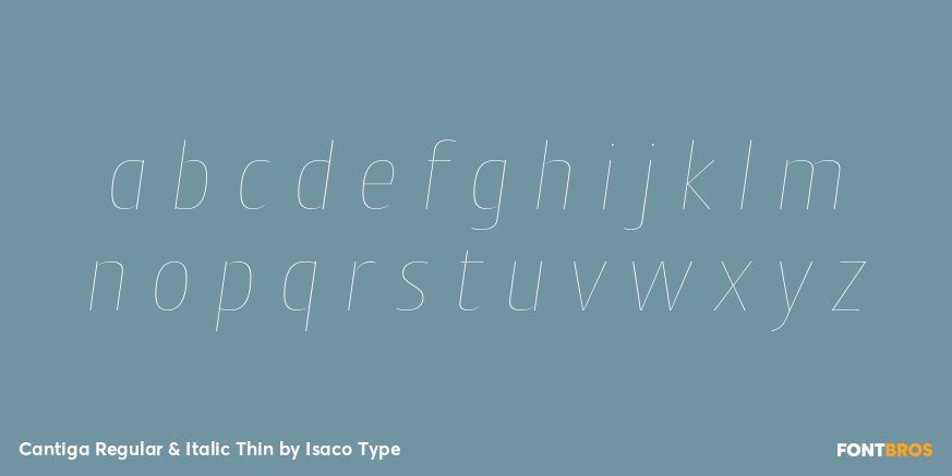 Cantiga Regular & Italic Thin Font Poster #3