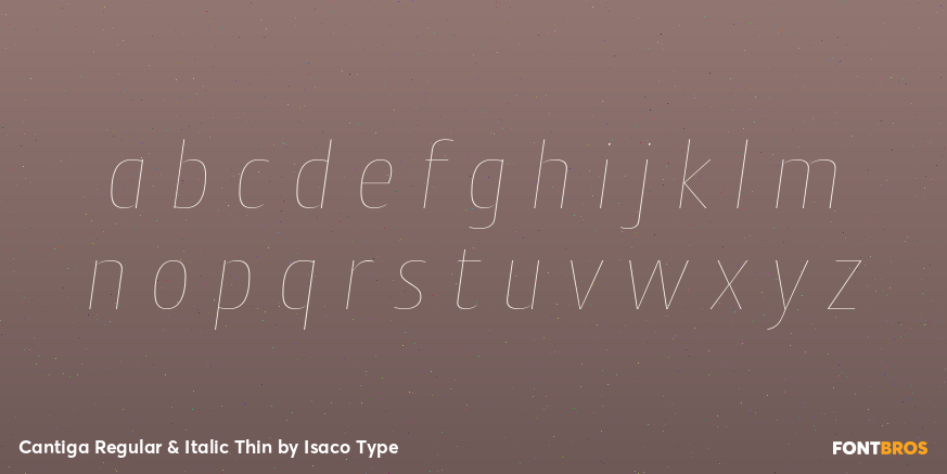 Cantiga Regular & Italic Thin Font Poster #1