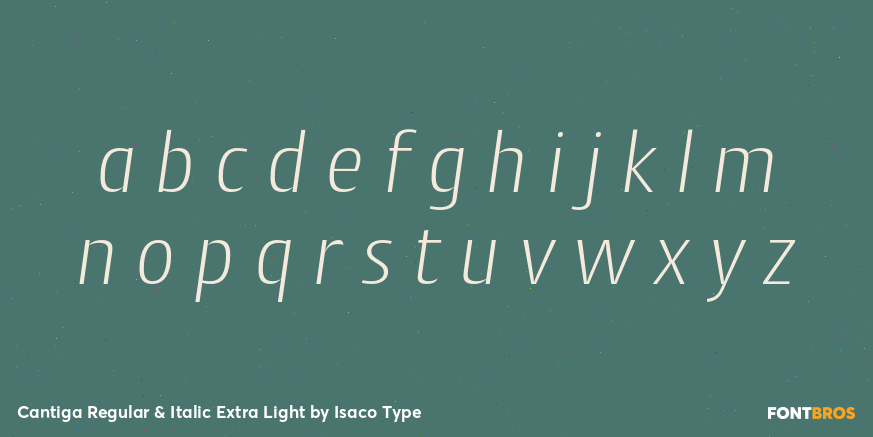 Cantiga Regular & Italic Extra Light Font Poster #3