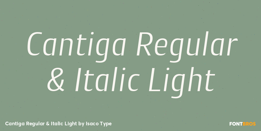Cantiga Regular & Italic Light Poster