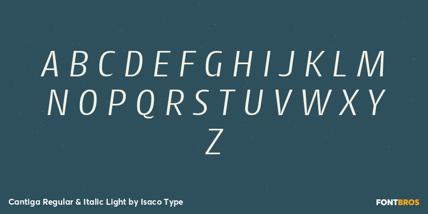 Cantiga Regular & Italic Light Font Poster #2