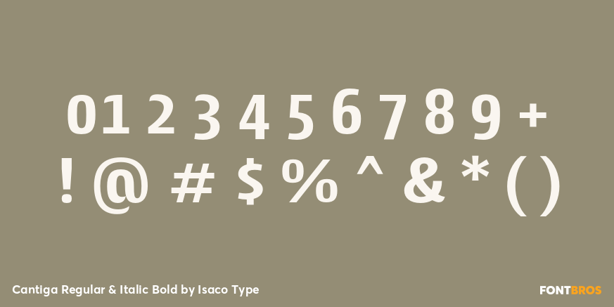 Cantiga Regular & Italic Bold Font Poster #4