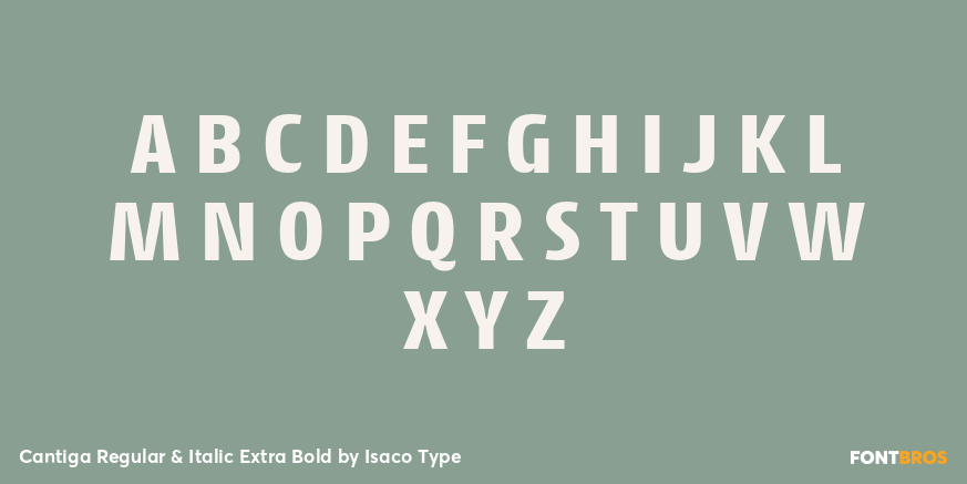 Cantiga Regular & Italic Extra Bold Font Poster #2