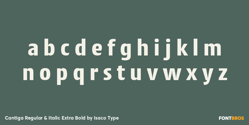 Cantiga Regular & Italic Extra Bold Font Poster #3