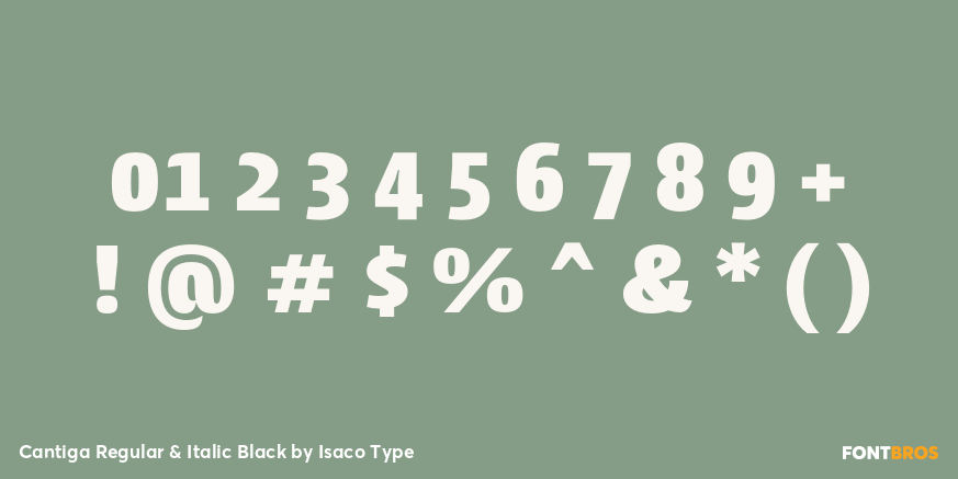 Cantiga Regular & Italic Black Font Poster #1