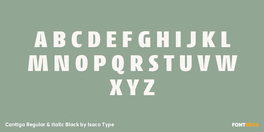 Cantiga Regular & Italic Black Font Poster #1