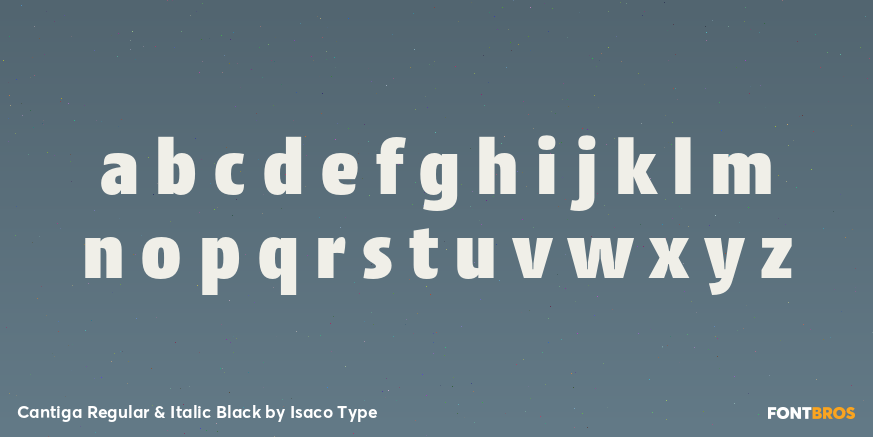 Cantiga Regular & Italic Black Font Poster #1