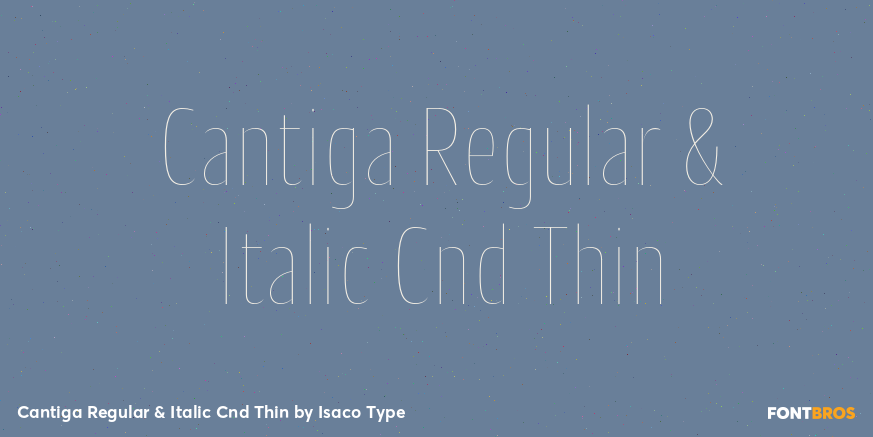Cantiga Regular & Italic Cnd Thin Poster