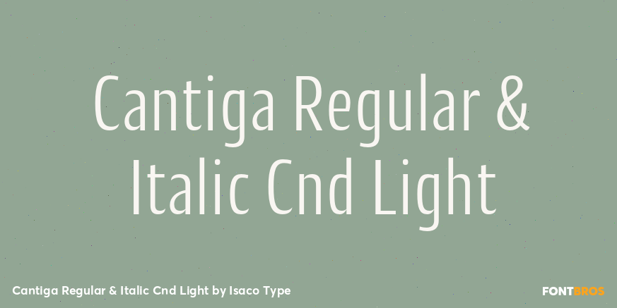 Cantiga Regular & Italic Cnd Light Poster