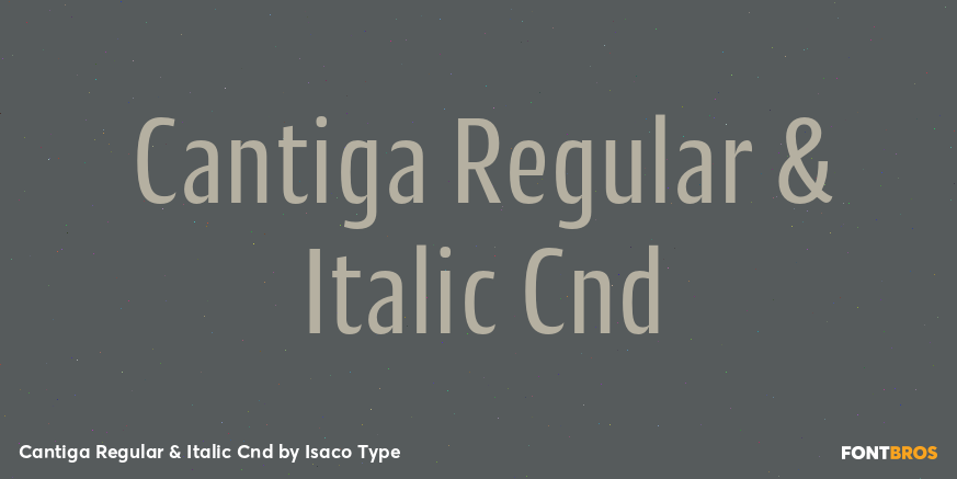 Cantiga Regular & Italic Cnd Poster