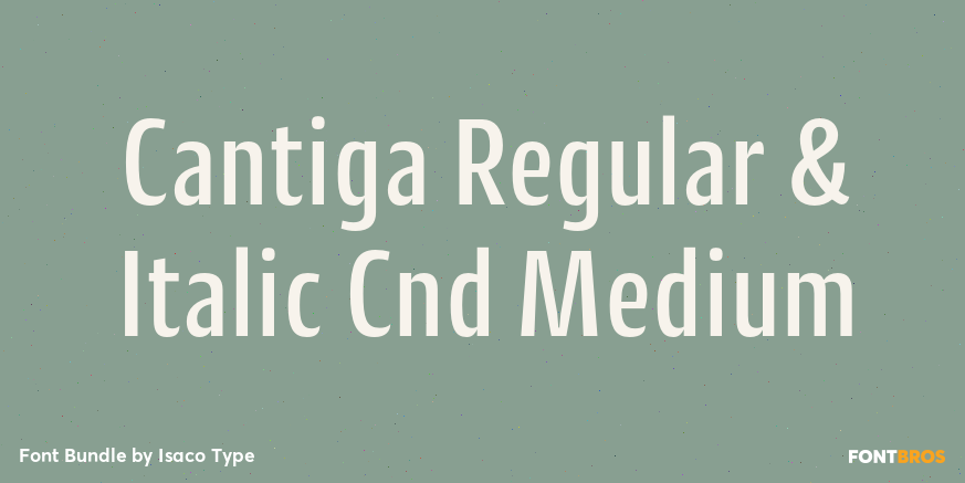 Cantiga Regular & Italic Cnd Medium Poster