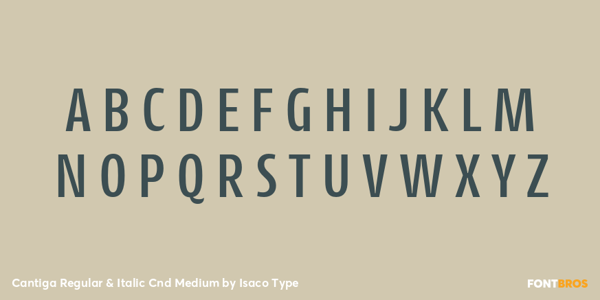 Cantiga Regular & Italic Cnd Medium Font Poster #2