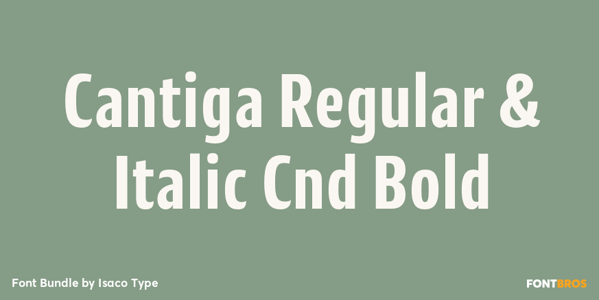 Cantiga Regular & Italic Cnd Bold Poster