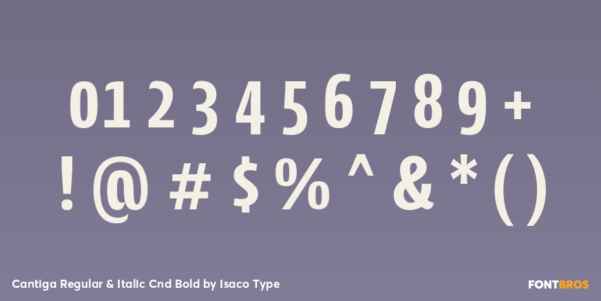 Cantiga Regular & Italic Cnd Bold Font Poster #1