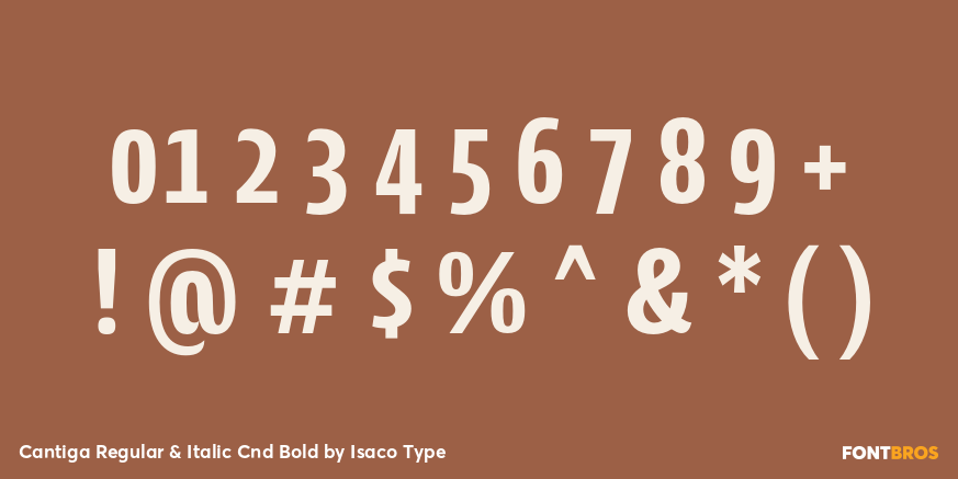 Cantiga Regular & Italic Cnd Bold Font Poster #4