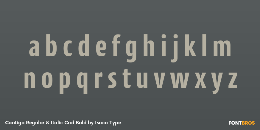Cantiga Regular & Italic Cnd Bold Font Poster #1