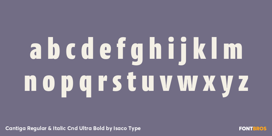 Cantiga Regular & Italic Cnd Ultra Bold Font Poster #3