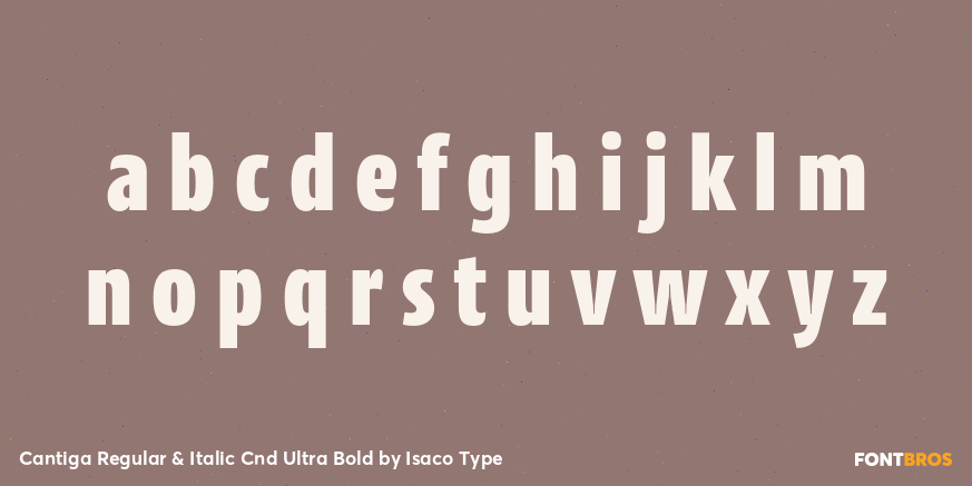 Cantiga Regular & Italic Cnd Ultra Bold Font Poster #1