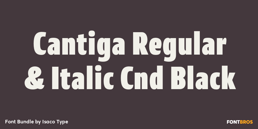 Cantiga Regular & Italic Cnd Black Poster