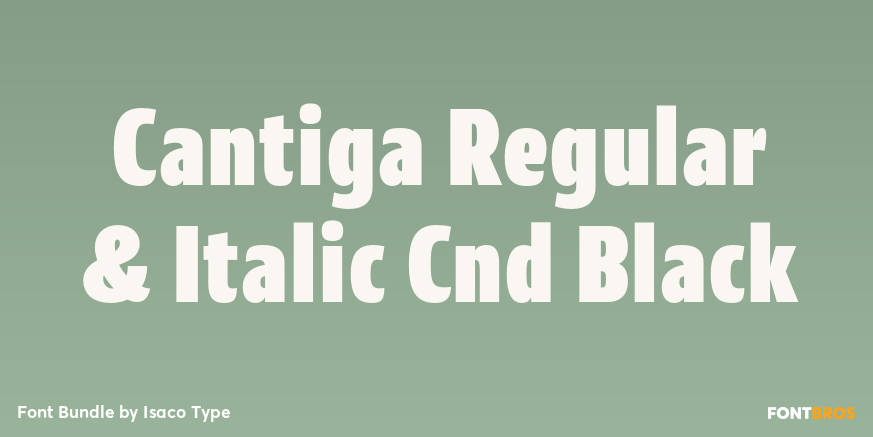 Cantiga Regular & Italic Cnd Black Poster