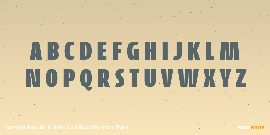 Cantiga Regular & Italic Cnd Black Font Poster #2