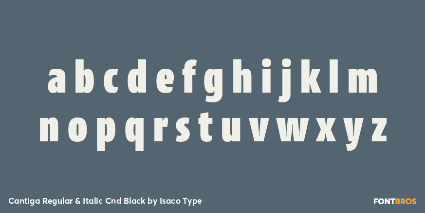 Cantiga Regular & Italic Cnd Black Font Poster #3