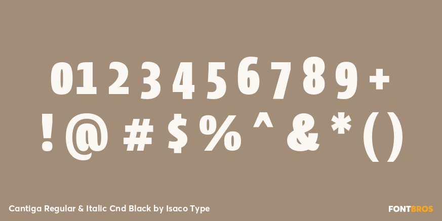 Cantiga Regular & Italic Cnd Black Font Poster #4