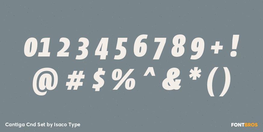 Cantiga Cnd Set Font Poster #4