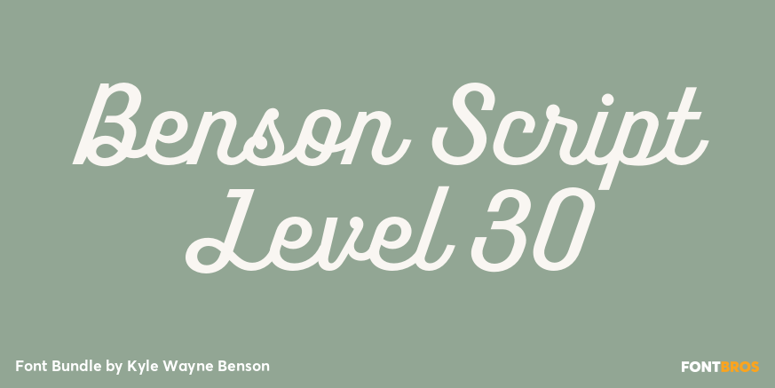 Benson Script Level 30 Poster