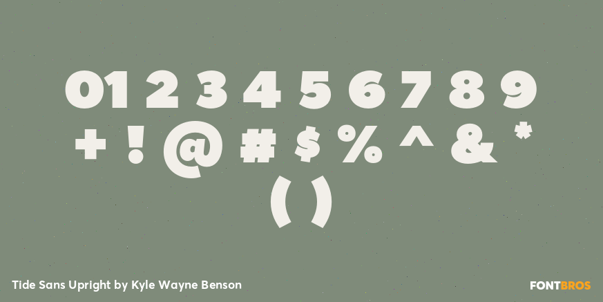 Tide Sans Upright Font Poster #1