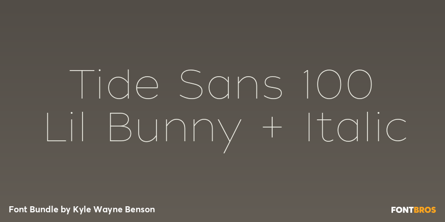 Tide Sans 100 Lil Bunny + Italic Font Poster #1